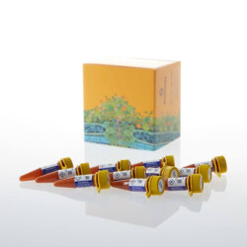 NanoBRET(R) Nano-Glo(R)  Kinetic Detection System, 10,000
