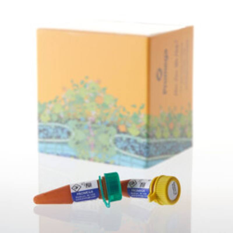 Nano-Glo(R) Extended Live Cell Substrate Trial Pack, 0.2ml