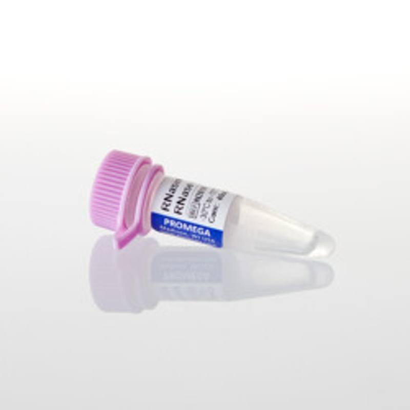 RNasin(R) Plus RNase Inhibitor, 2500u