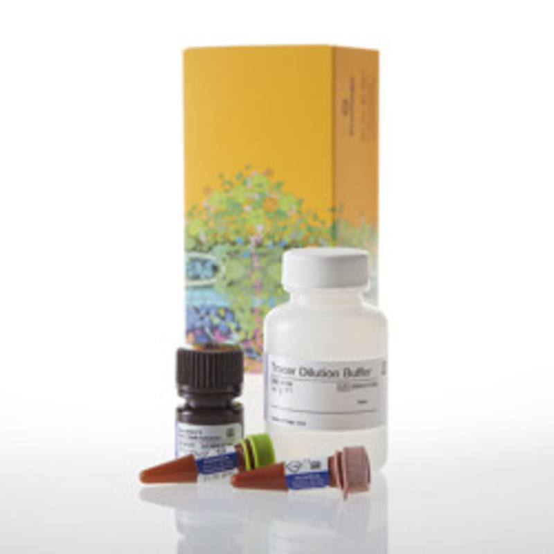 NanoBRET(R) TE Intracellular Kinase Detec K-3, 10,000 assys