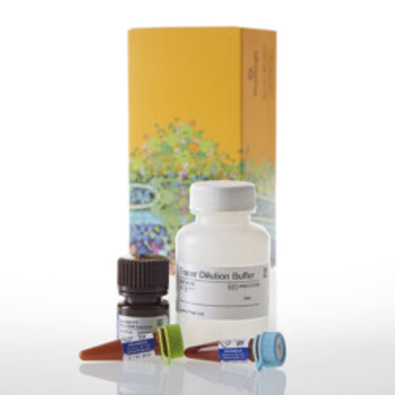 NanoBRET(R) TE Intracellular Kinase Detec K-8, 10,000 assys