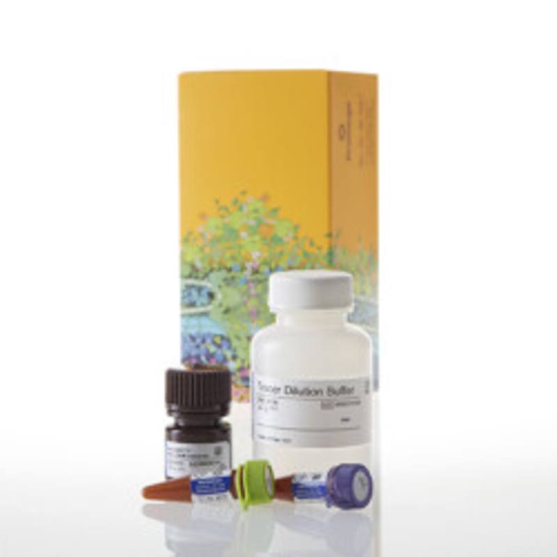 NanoBRET(R) TE Intracellular Kinase Detec K-11, 10,000 asys