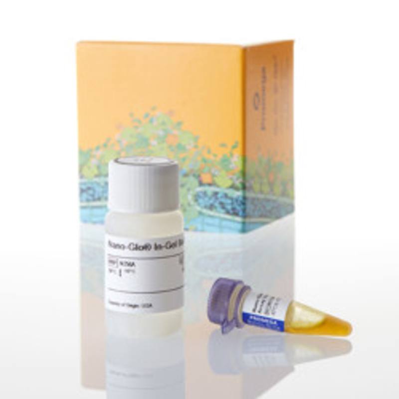 Nano-Glo(R) In-Gel Detection System, 100ml