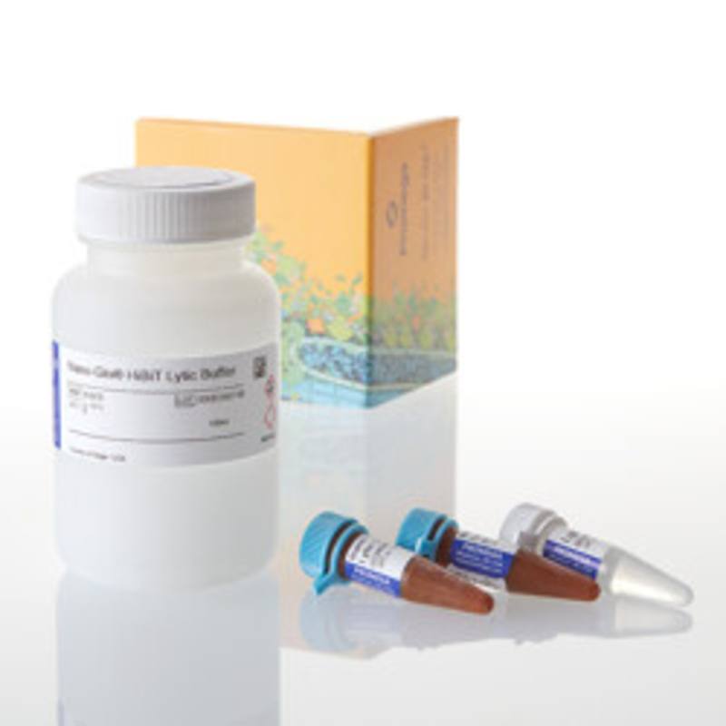 Nano-Glo(R) HiBiT Lytic Detection System, 100ml