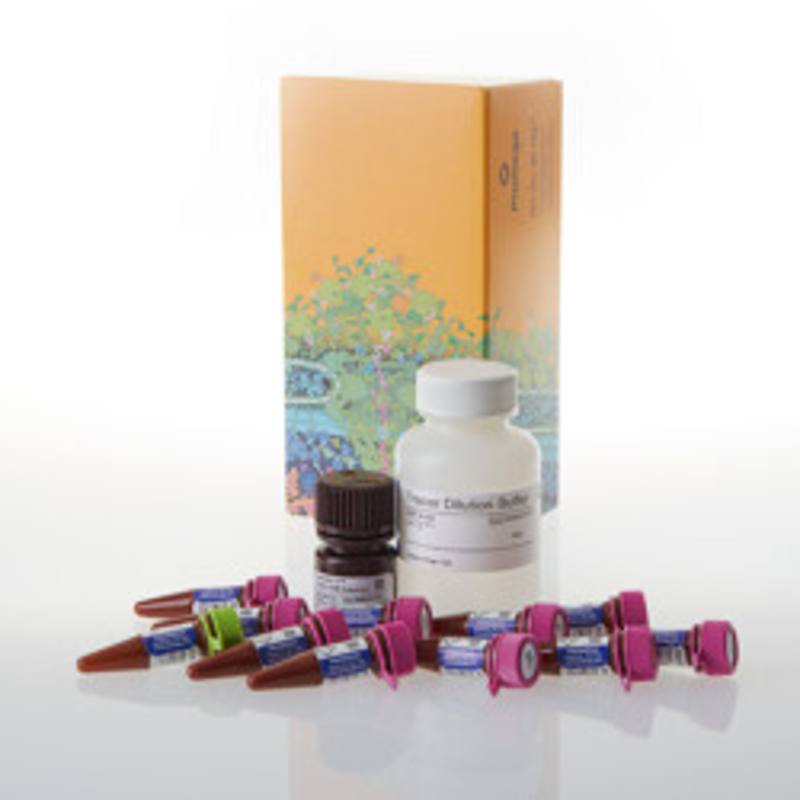 NanoBRET(R) TE Intracellular RAS Detection Reagents 10,000