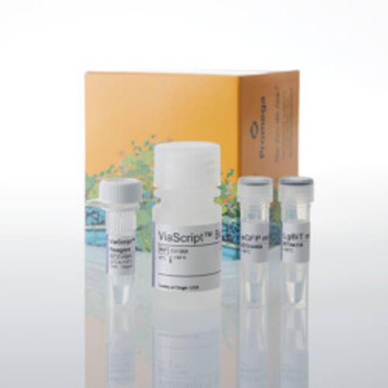 ViaScript(R) LgBiT mRNA Delivery System plus eGFP