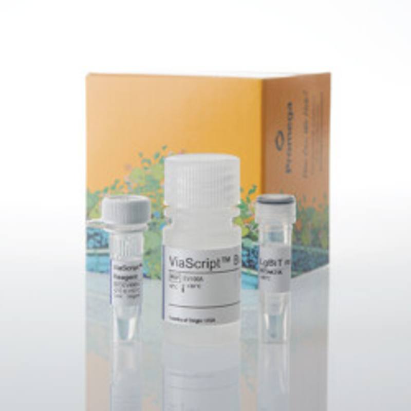 ViaScript(R) LgBiT mRNA Delivery System, 10 plates
