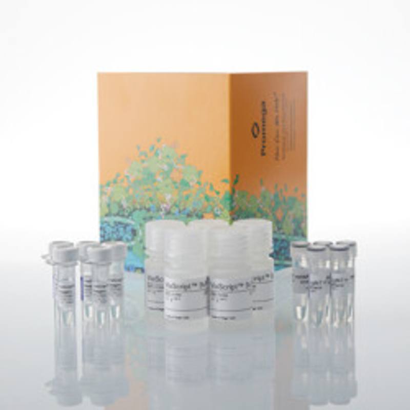 ViaScript(R) LgBiT mRNA Delivery System, 5x10 plates