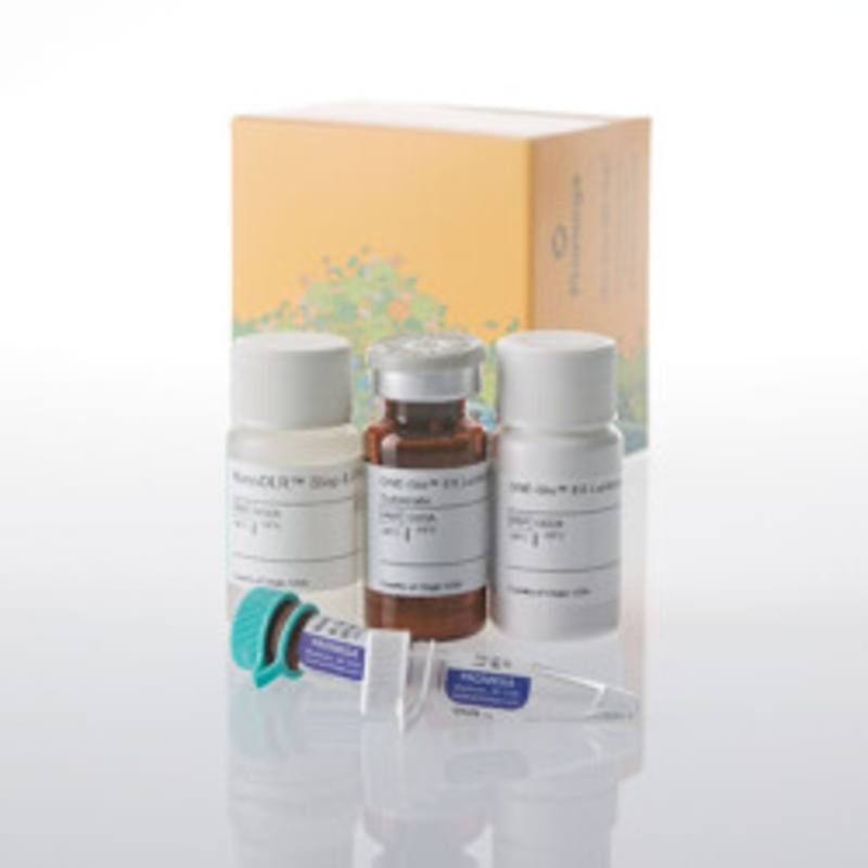 Nano-Glo(R) HiBiT Dual-Luciferase(R) Reporter System, 10ml