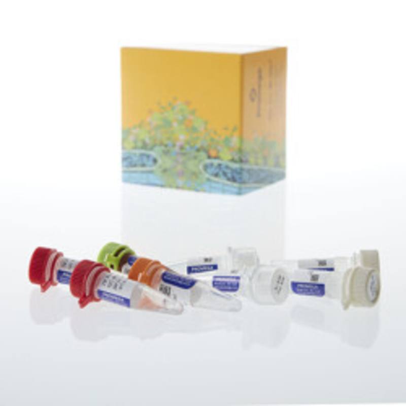 ProNex(R) DNA QC Assay BioRad CFX96(TM), 200rxn