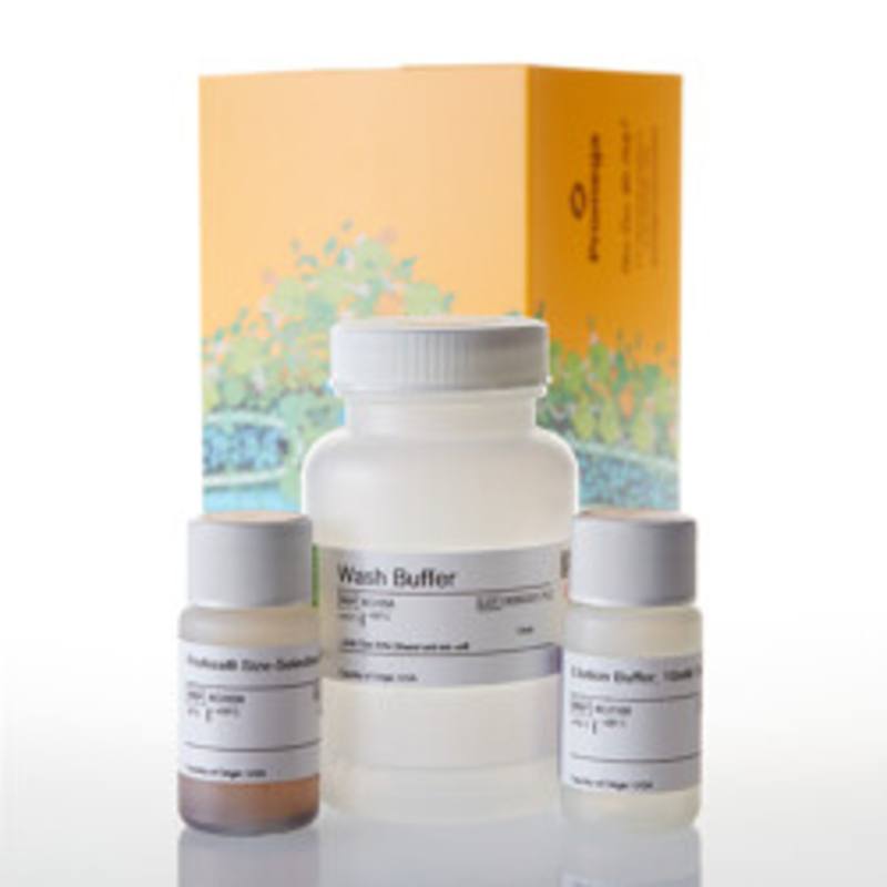 ProNex(R) Size-Selective Purification System, 10mL
