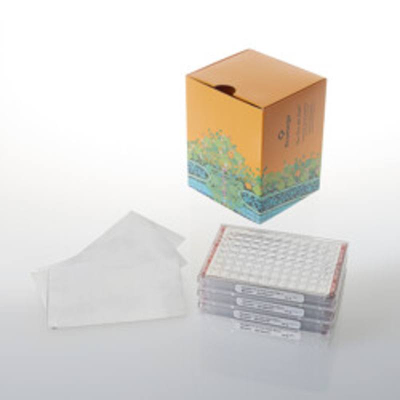 NanoBRET(R) TE K192 Kinase Vector Panel, Small