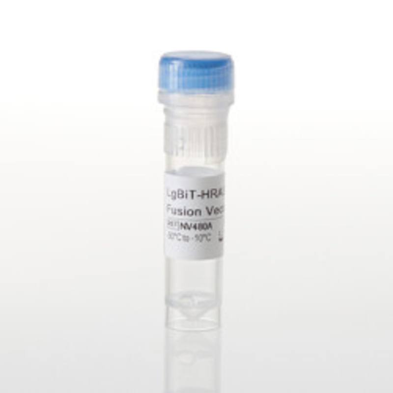 LgBiT-HRAS WT Fusion Vector