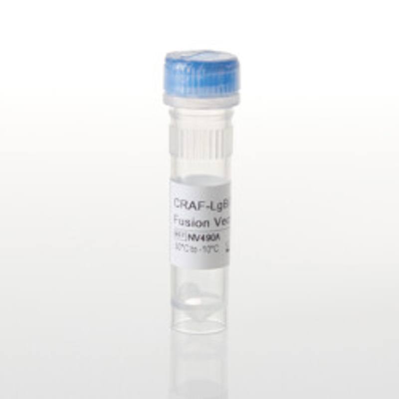 CRAF-LgBiT Fusion Vector