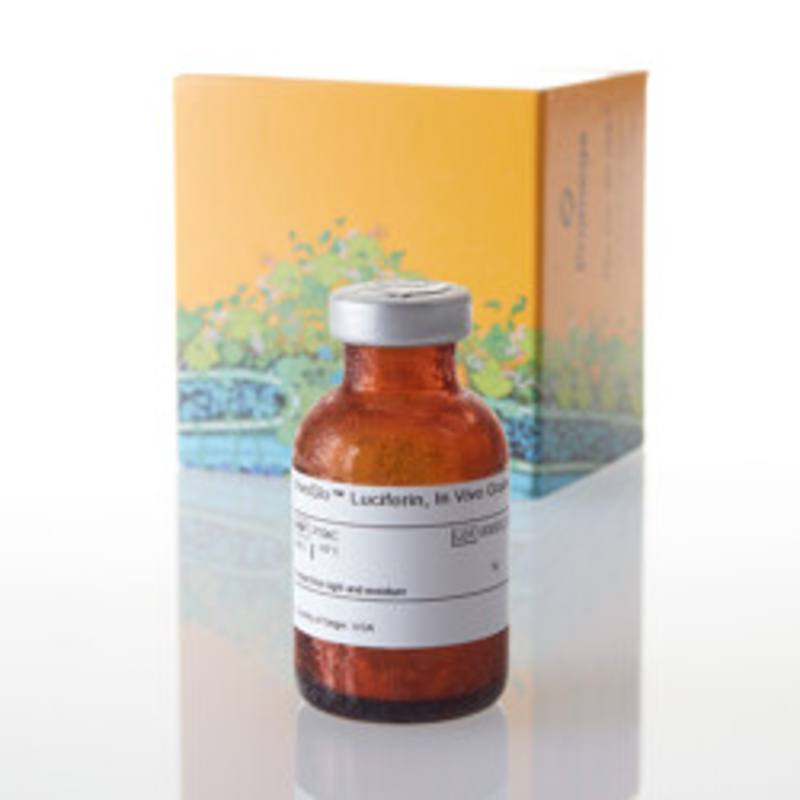 VivoGlo(TM) Luciferin, In Vivo Grade, 1g