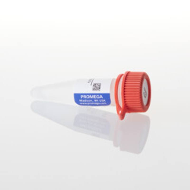 rATP, 10mM, 0.5ml