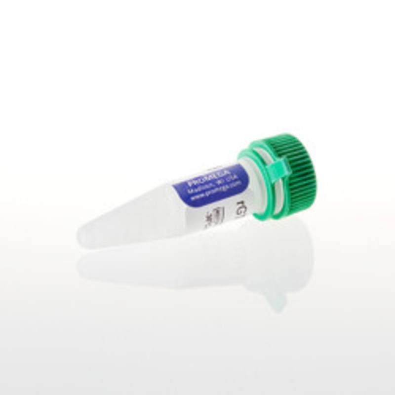 rGTP, 10mM, 0.5ml