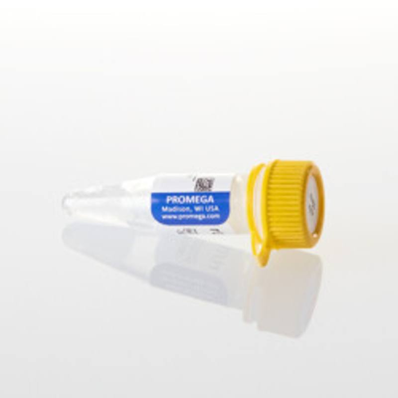 rUTP, 10mM, 0.5ml