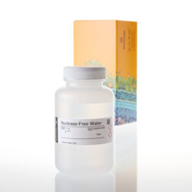 Nuclease-Free Water, 150ml, Forensic Grade