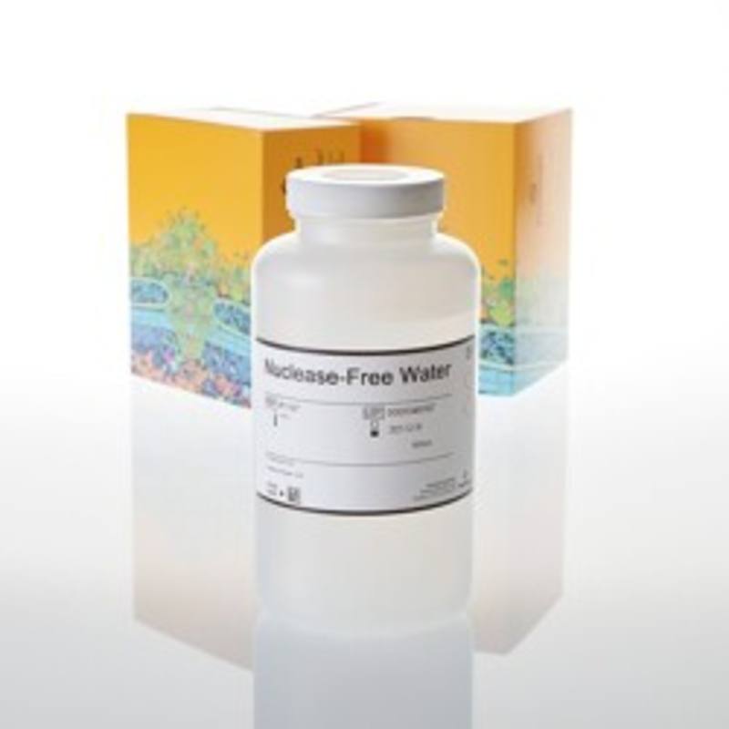 Nuclease-Free Water, 500ml