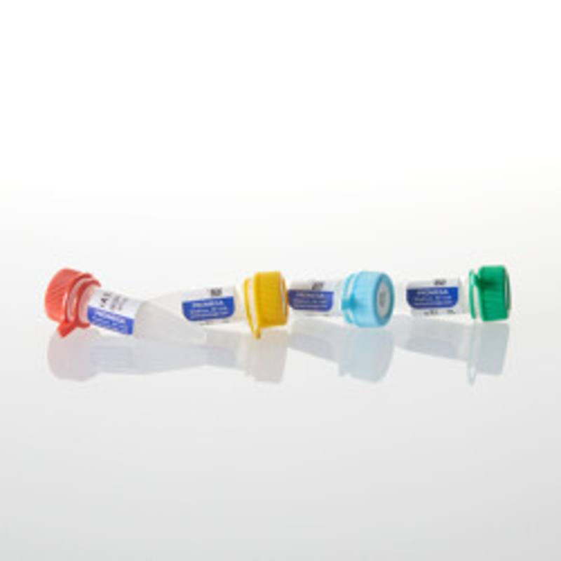 rATP, rCTP, rGTP, rUTP each at 10mM, 0.5ml