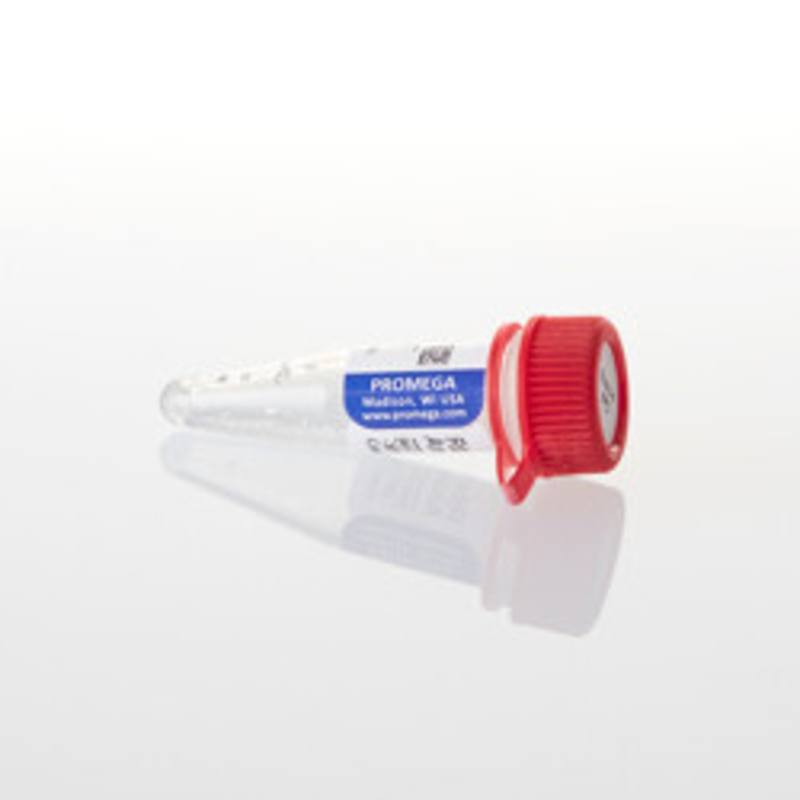 Ribo m7G Cap Analog, 10 A254 units
