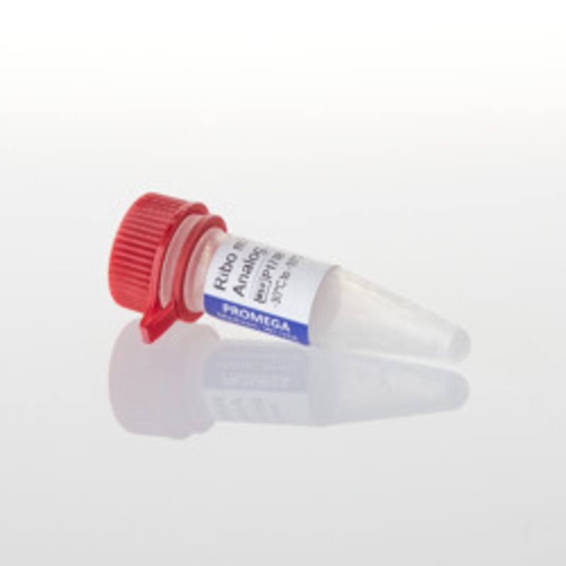 Ribo m7G Cap Analog, 25 A254 units