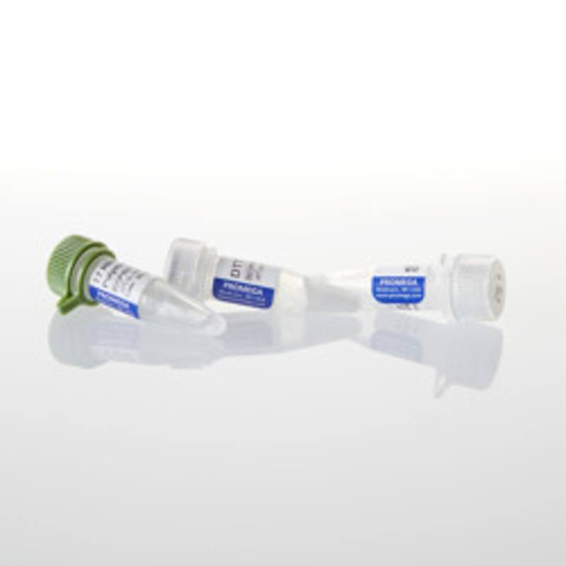 T7 RNA Polymerase, 1,000u