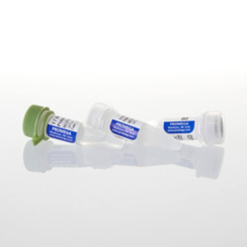 T7 RNA Polymerase, 5,000u
