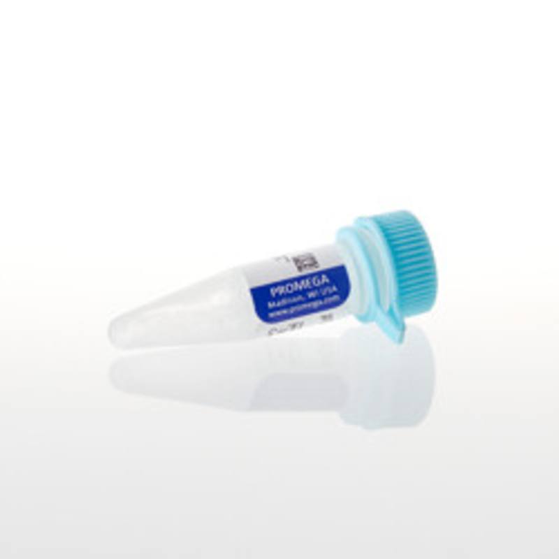 pGEM(R)-3Z Vector, 20ug