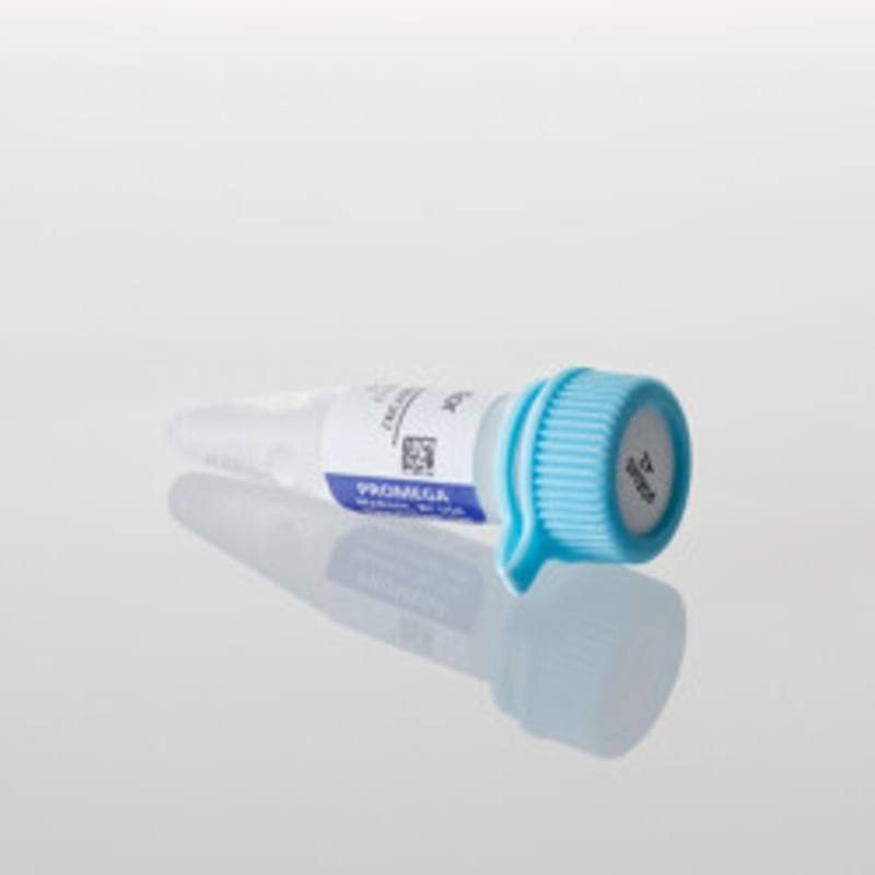 pGEM(R)-4Z Vector, 20ug