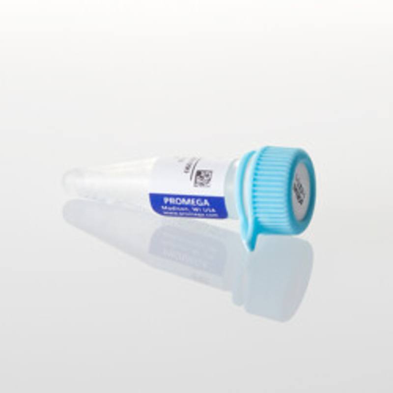 pGEM(R)-5Zf(+) Vector, 20ug
