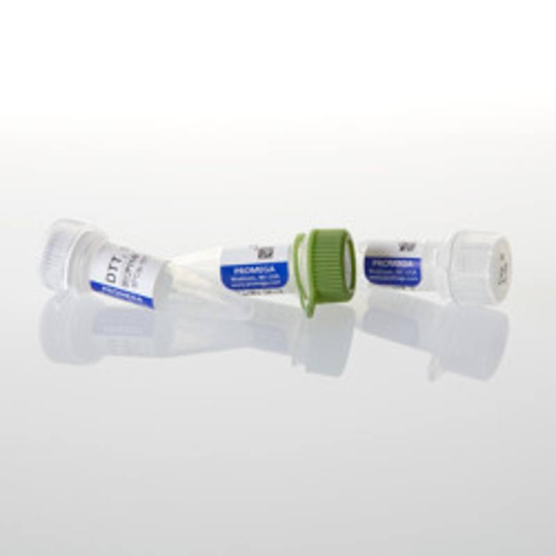 T7 RNA Polymerase (HC), 10,000u
