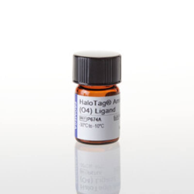 HaloTag(R) Amine (O4) Ligand