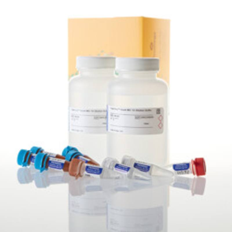 PowerSeq(R) Quant MS System, 500rxn