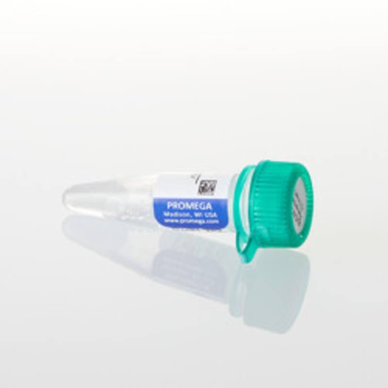 pUC/M13 Primer, Forward (24mer), 2ug