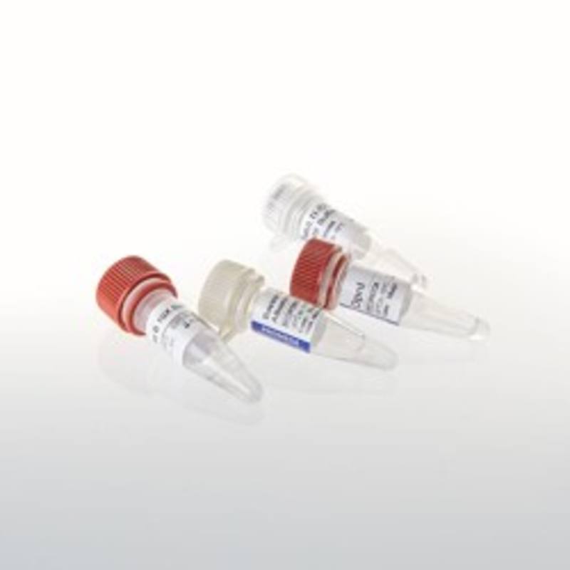 DpnI, 200u