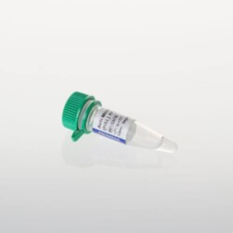 Anti-Mouse IgG AP Conjugate, 100ul