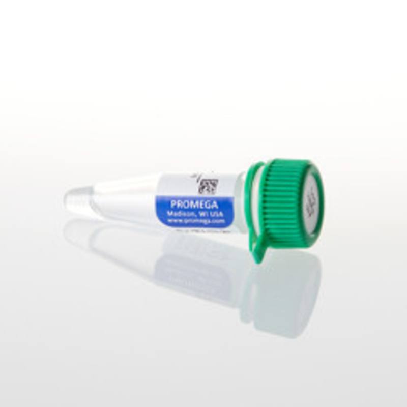 Anti-Rabbit IgG AP Conjugate, 100ul