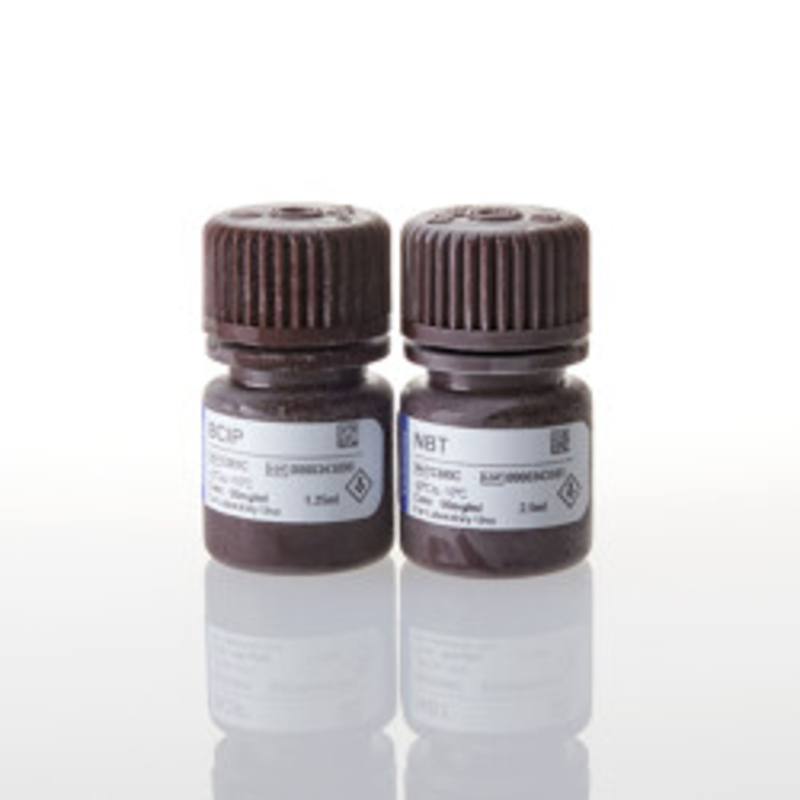 BCIP/NBT Color Development Substrate