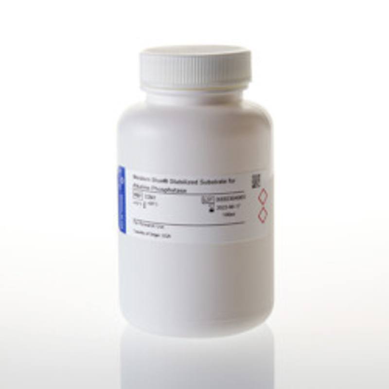 Western Blue(R) Stabilized Substrate for Alk Phos, 100ml
