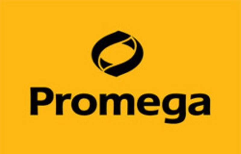 dATP, 100mM, 25uMoles