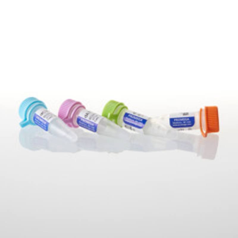 Set of dUTP, dCTP, dGTP, dATP 100mM each, 10umoles each