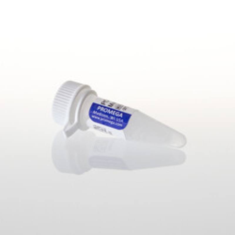 PCR Nucleotide Mix, 25mM