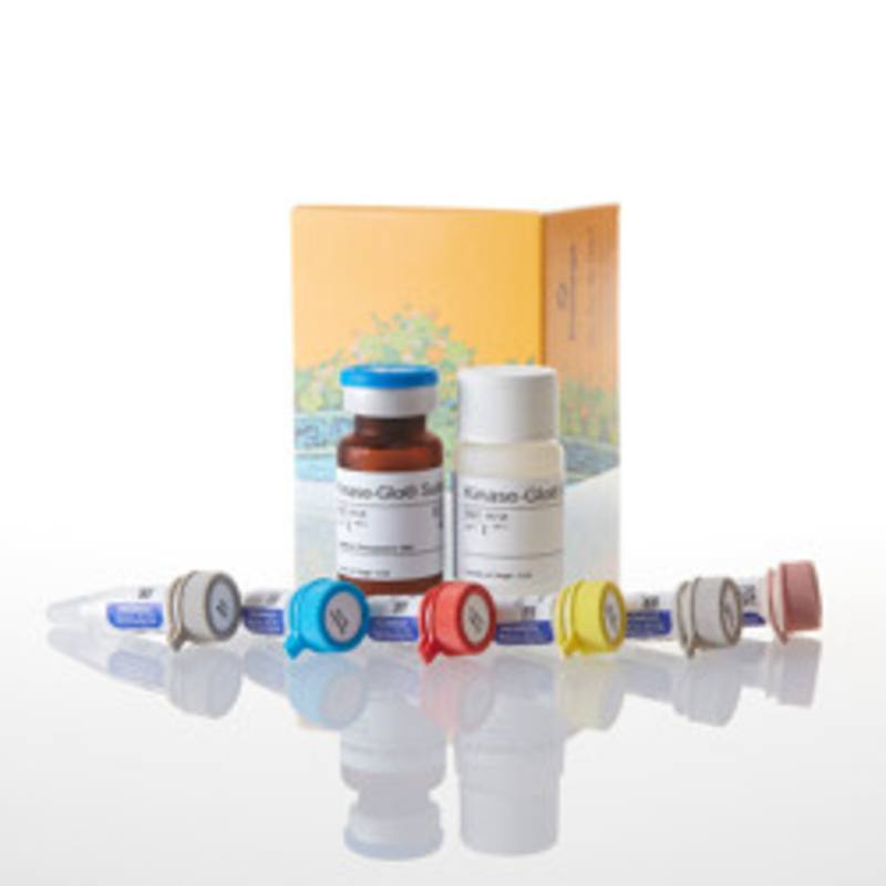 PDE-Glo(TM) Phosphodiesterase Assay, 1000 Assays