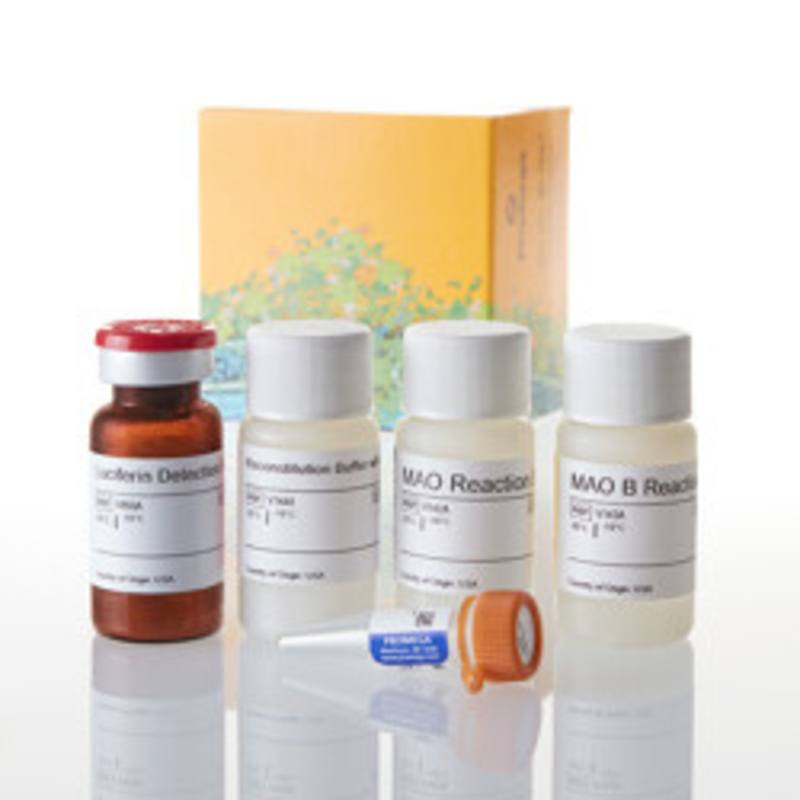 MAO-Glo(TM) Assay, 200 Assays