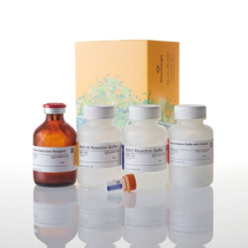 MAO-Glo(TM) Assay, 1000 Assays