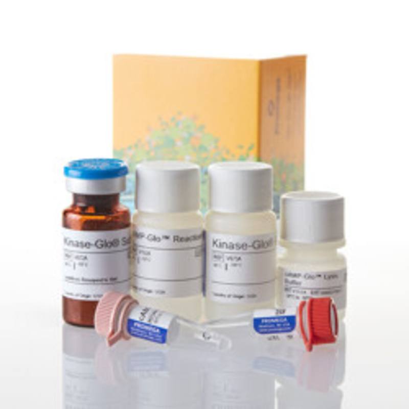 cAMP-Glo(TM) Assay, 300 Assays