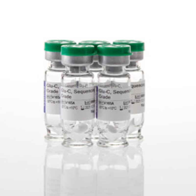 Glu-C, Sequencing Grade, 5 X 10ug