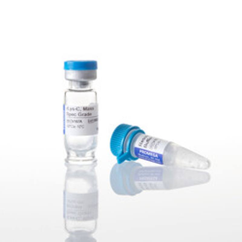 rLys-C, Mass Spec Grade, 15ug